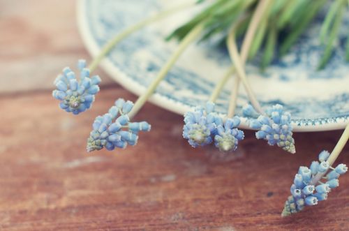 ����������¾��ã��������� (6)