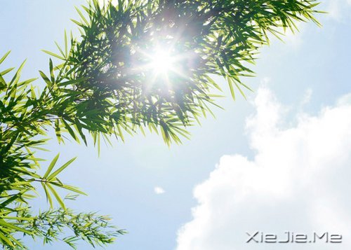 ��̬���ã��������� (4)