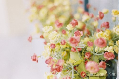 不要轰轰烈烈,只求安安心心 (7)