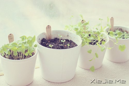 �����ĸ߹�Ӧ�������ڹ�ȥ���Լ� (4)