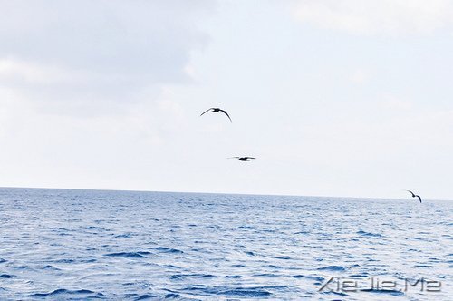 成熟,不是看破,而是看淡 (4)