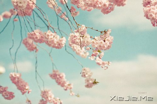 ������ֻ��Ҫһ��������΢Ц (2)