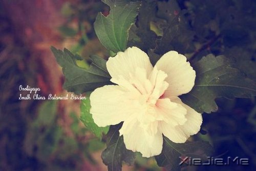 不论这个世界多么糟糕,你自己的世界一定要精彩 (1)