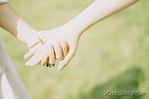 �������а��ţ�����ֻ��˳����Ȼ (9)