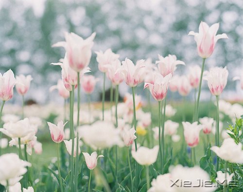 爱自己的人,才会有人爱 (9)