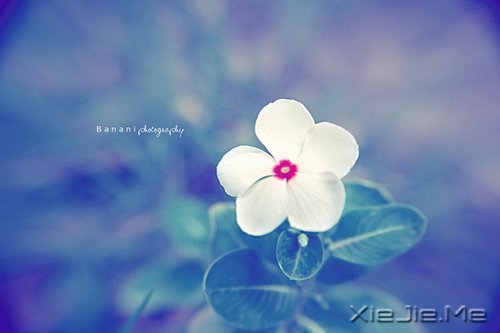 ��Ȼһ�У��������� (6)