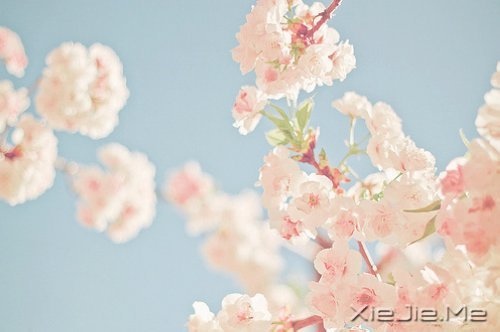 �����ж�пᣬ��͸��ж��ǿ (8)