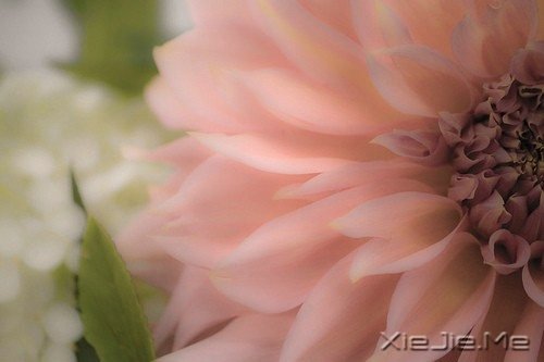 路过青春一阵子,记忆里搁浅一辈子 (9)