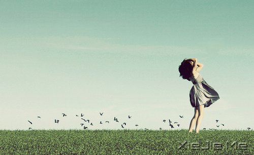 人生是一种承受,我们要学会支撑自己 (8)