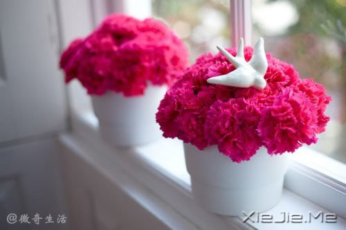 �����ǰ�������ǲʺ�ķ��� (8)