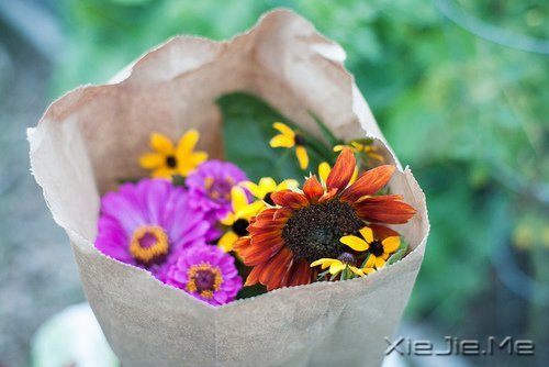 无论好坏,明天都会到来 (3)