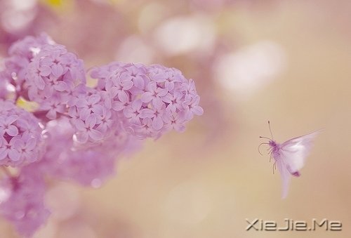 请你善良,无论这世界多冷漠 (3)