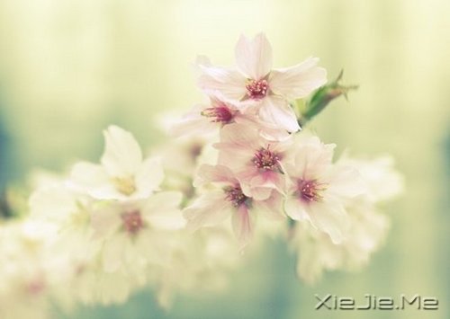 所谓幸福,就是一些不知不觉的小片断 (9)