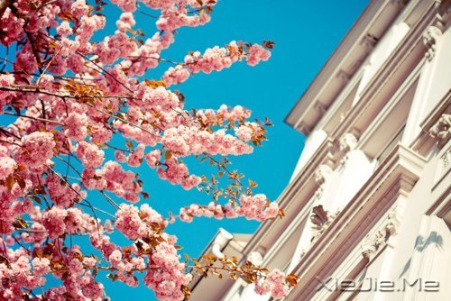 �Ҹ�Ӧ���������ɣ����������ö� (3)