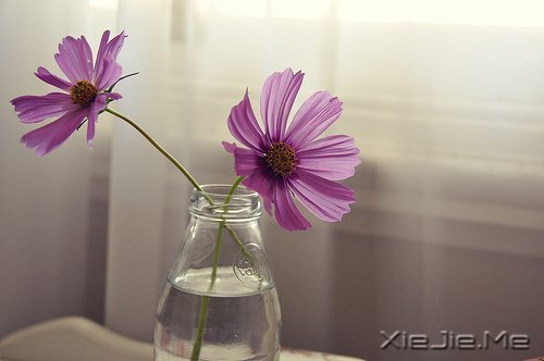 幸福,就是春夏秋冬,悠然自在 (7)