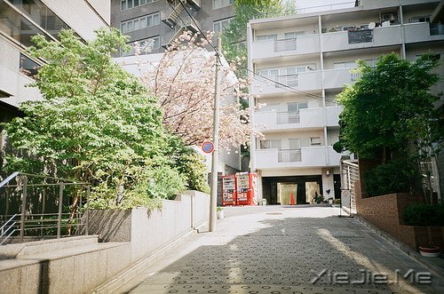 �������ֻ���벻ͨ���ˣ�û���߲�ͨ��· (12)