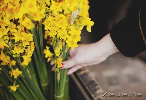 �簲������ʱ����Ե��ˣ�һ��Ҳ�Ͳ������ (11)