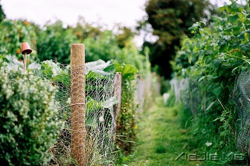 早安心语:生命是自己的旅程,不要活成别人 (3)