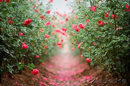 ��������㿴��ʲô�������磬���ӵ��ʲô�������� (4)