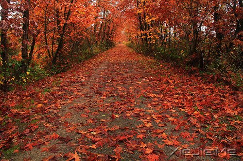 �簲�����ȥ�ľ͹�ȥ�ˣ�������Ȼ���� (11)