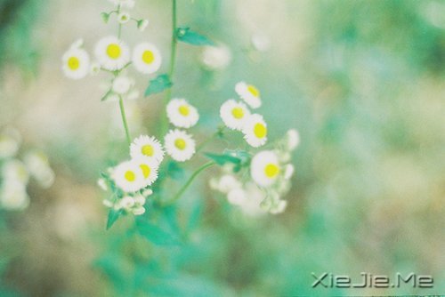 梦想很轻,却因此拥有飞向蓝天的力量 (8)