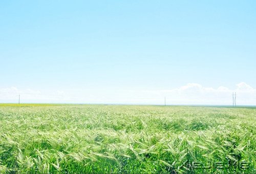 幸福是自己的,永远不要拿别人来做参照 (4)