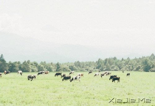 幸福是自己的,永远不要拿别人来做参照 (6)