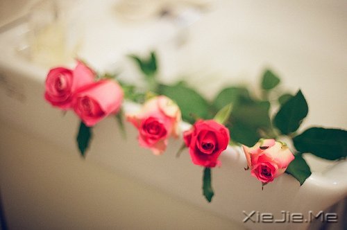 �����������Ҫ�ģ�һֱ�ܼ� (1)