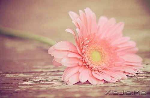 �����������Ҫ�ģ�һֱ�ܼ� (7)