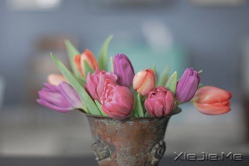 ������������������Ҹ� (8)