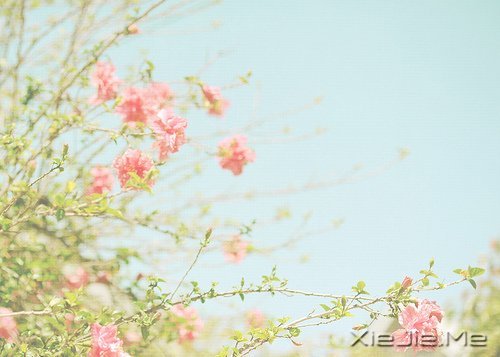 ����������������У����������� (2)