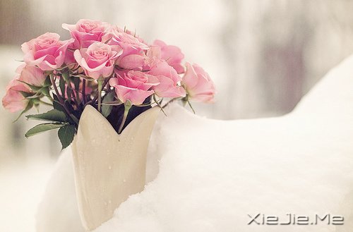 ���������Ļ��������ִܵ����ĵķ��� (4)