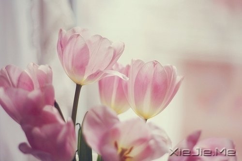 ���������Ļ��������ִܵ����ĵķ��� (10)