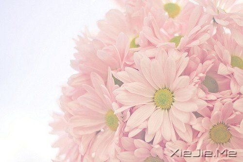 ����������㶮�ã�������ϧ (6)