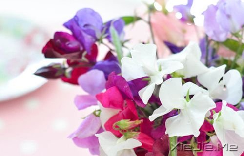 晚安心语:愿你成为自己的太阳 (3)