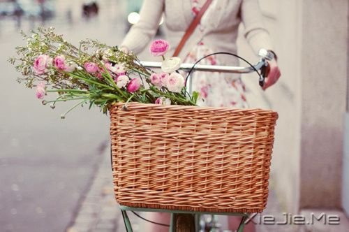 早安心语:谁都可以说爱你,但不是人人都能等你 (2)