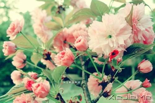 �����������ʱû�м���������Ǿ�����ͷ (10)