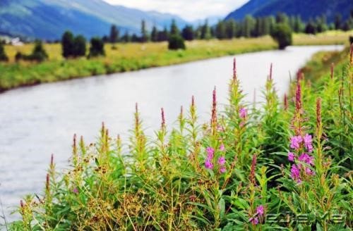 早安心语:沙漏记得,我们遗忘的时光 (5)