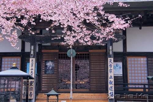 ���������������������Ϳ��ֵĹ��� (1)