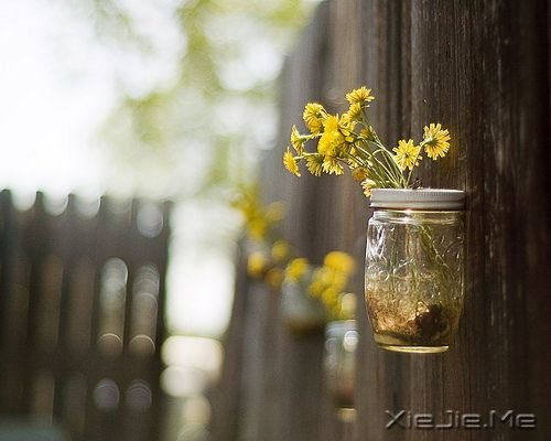 ����������ҹ���Żῴ���������ǹ� (5)