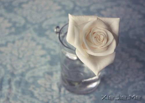 �������������������Լ� (8)