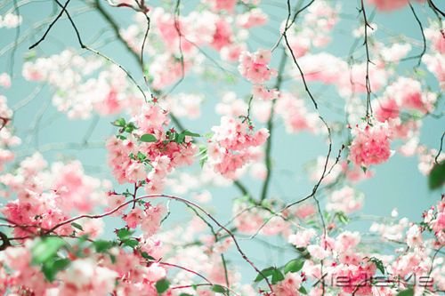 �簲���ͯ��δ������һ��ֵ�ý��������� (3)