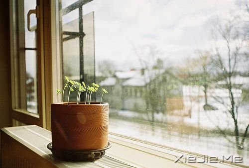 �簲�������ĽŲ����������߳ɰ��ķ羰 (2)