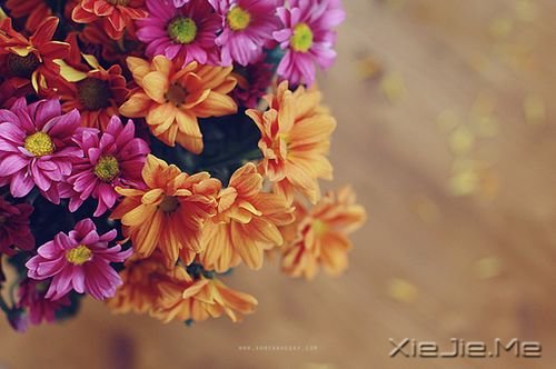 晚安心语:总有一次哭泣,让人瞬间长大 (4)