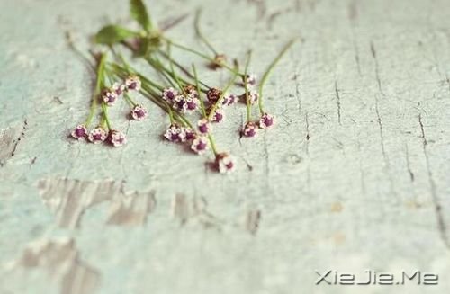 �簲����������Կ��ƣ������᲻������ (3)