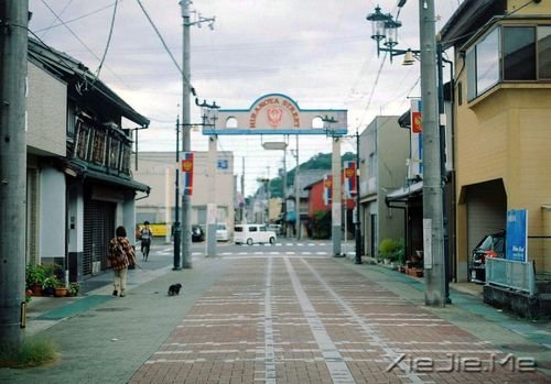 早安心语:昨天的太阳,晒不干今天的衣裳 (7)