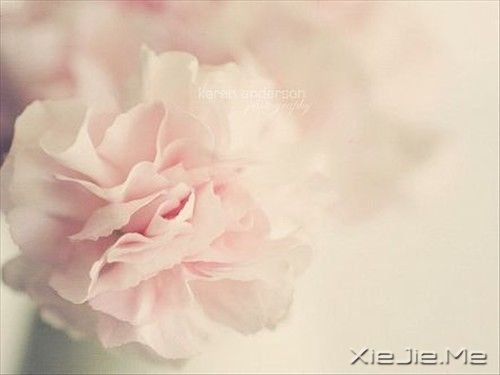 晚安心语:带上最美的笑容且行且珍惜 (6)