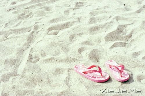 早安心语:请别伤我的心,那里面住的是你 (1)