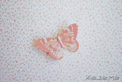 早安心语:不要因为命运坎坷,就迷失了自己 (1)