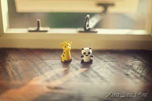 早安心语:坚毅的人总会出头 (9)